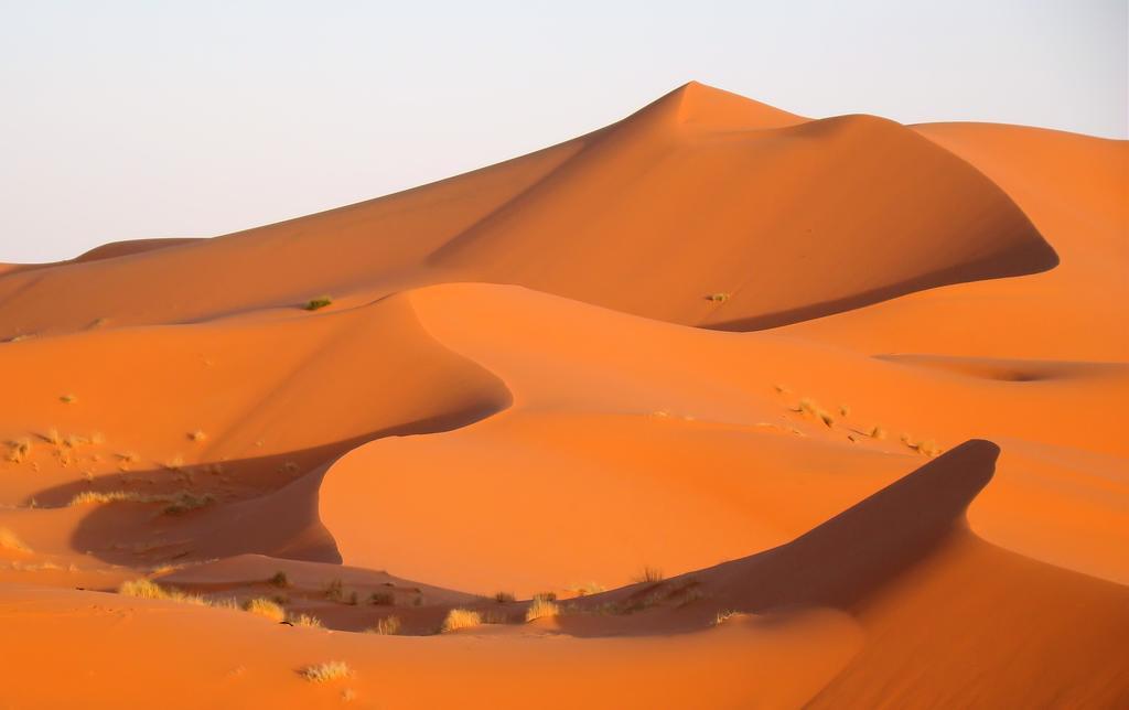 Bed and Breakfast Kasbah Tamariste Merzouga Zewnętrze zdjęcie