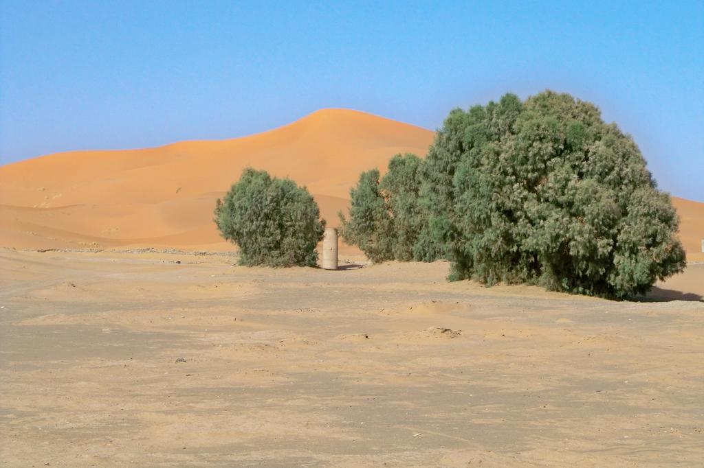 Bed and Breakfast Kasbah Tamariste Merzouga Zewnętrze zdjęcie