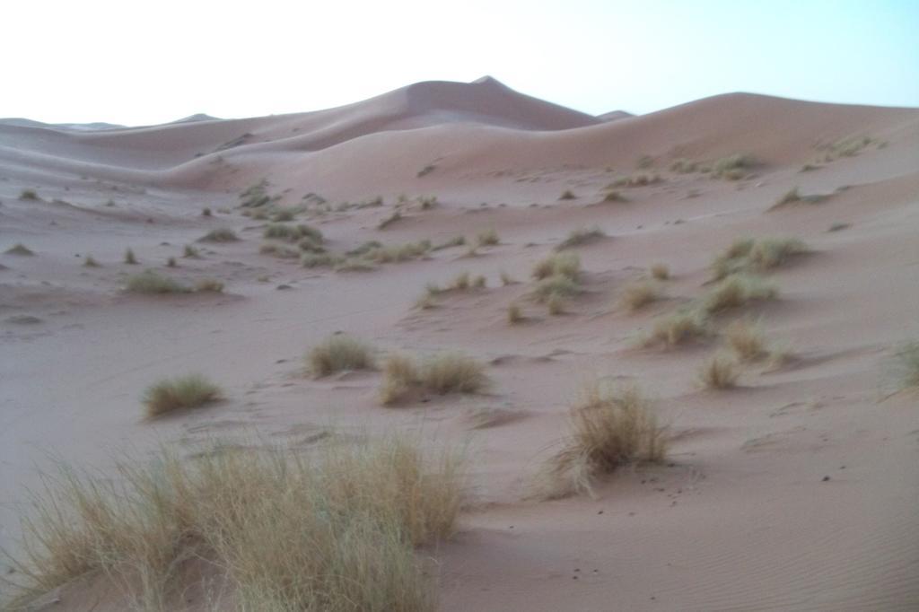 Bed and Breakfast Kasbah Tamariste Merzouga Zewnętrze zdjęcie